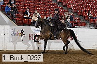 11buck_0297 proof