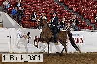 11buck_0301 proof