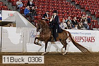 11buck_0306 proof