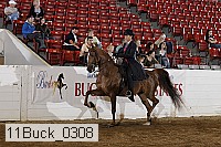 11buck_0308 proof