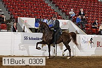 11buck_0309 proof