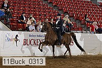 11buck_0313 proof