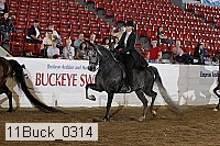 11buck_0314 proof