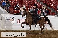11buck_0316 proof