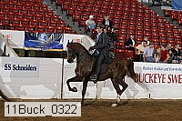 11buck_0322 proof