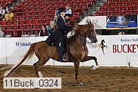11buck_0324 proof