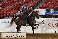 11buck_0325 proof
