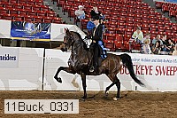 11buck_0331 proof