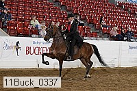 11buck_0337 proof