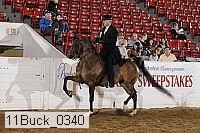11buck_0340 proof
