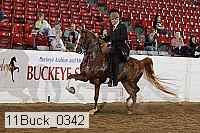 11buck_0342 proof