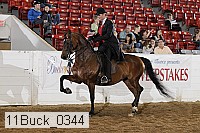 11buck_0344 proof