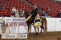 11buck_0354 proof