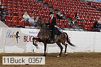 11buck_0357 proof