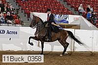 11buck_0358 proof