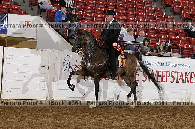 Proof 11buck_0361