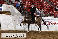 11buck_0361 proof