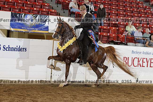 Proof 11buck_0365