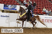 11buck_0365 proof