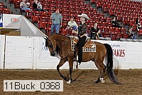 11buck_0368 proof