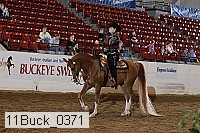 11buck_0371 proof