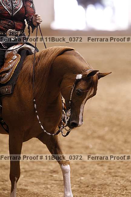 Proof 11buck_0372
