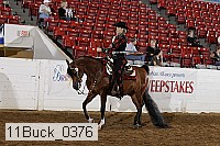 11buck_0376 proof