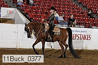 11buck_0377 proof