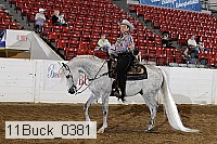 11buck_0381 proof