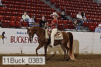 11buck_0383 proof