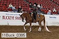 11buck_0385 proof