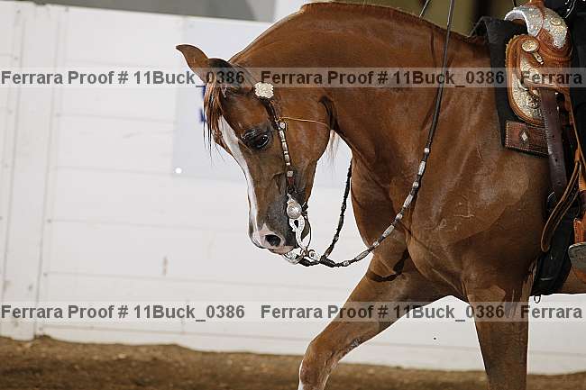 Proof 11buck_0386