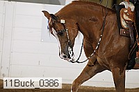 11buck_0386 proof