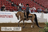 11buck_0387 proof
