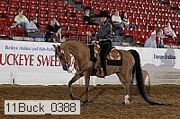11buck_0388 proof