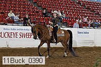 11buck_0390 proof