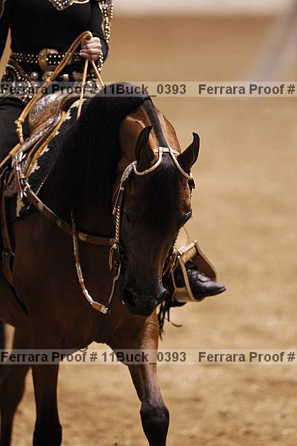 Proof 11buck_0393