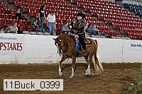 11buck_0399 proof