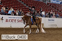 11buck_0400 proof