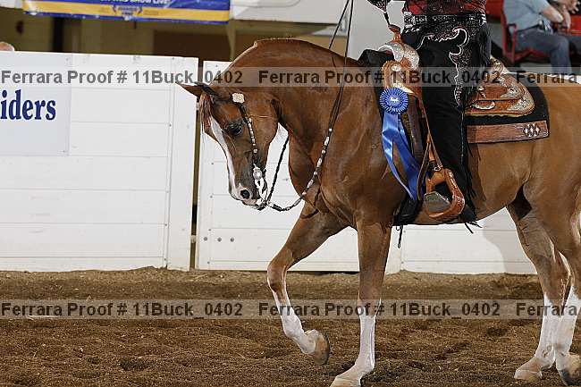 Proof 11buck_0402