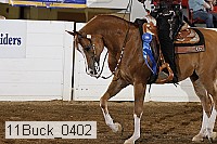 11buck_0402 proof