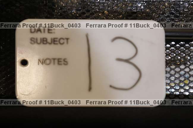 Proof 11buck_0403