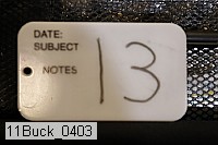 11buck_0403 proof