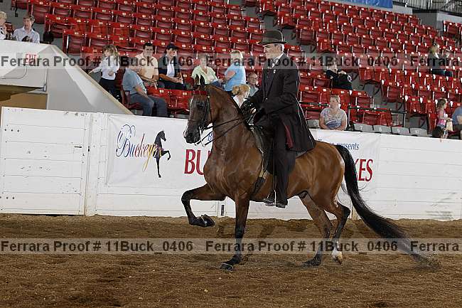 Proof 11buck_0406