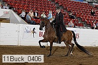 11buck_0406 proof