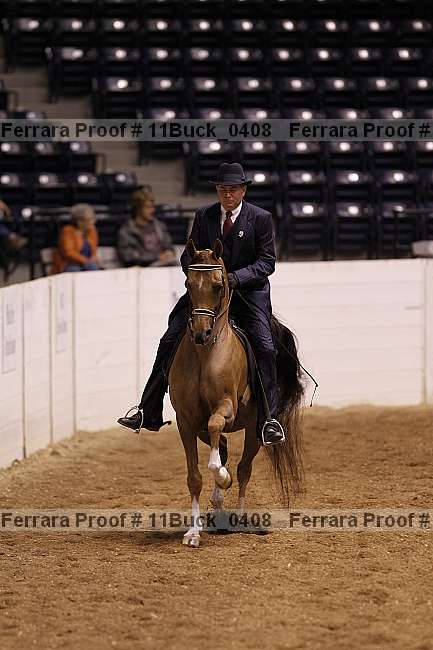 Proof 11buck_0408
