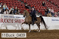 11buck_0409 proof