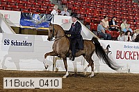 11buck_0410 proof