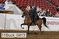 11buck_0413 proof