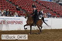 11buck_0415 proof